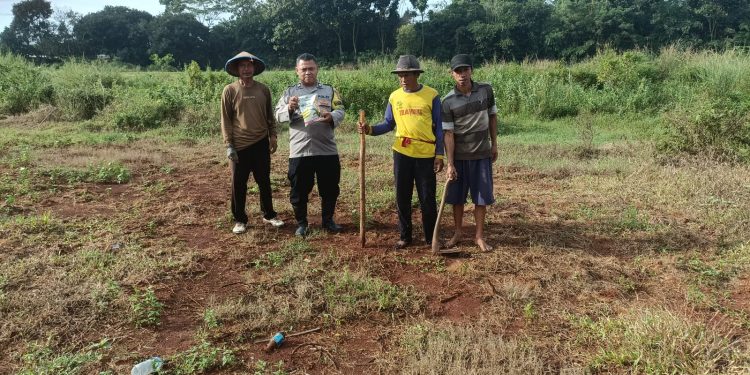 Polsek Bungursari Polres Purwakarta Dukung Ketahanan Pangan, Bhabinkamtibmas Tanam Jagung Hibrid Bersama Petani