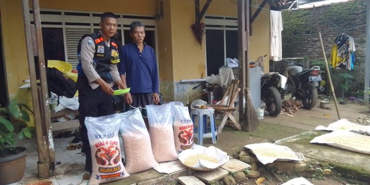 Polsek Pasawahan Lakukan Pendampingan Ketahanan Pangan Penanaman Jagung di Desa Cidahu