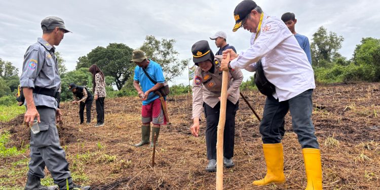Polwan Polsek Purwakarta Kota Tanam Jagung Hibrida, Wujud Dukungan Ketahanan Pangan 2026