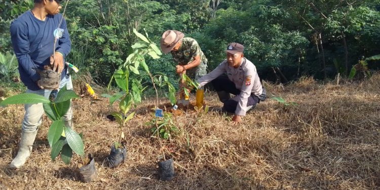 Reboisasi Bersama, Upaya Polri dan Warga Salam Mulya Jaga Keamanan dan Cegah Bencana