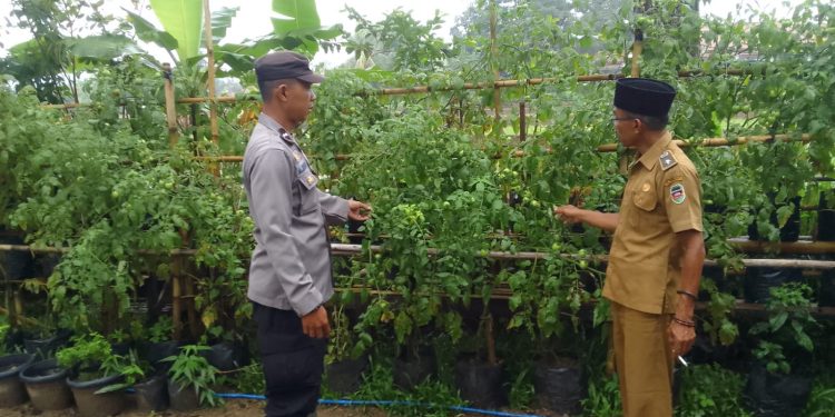 Kanit Binmas Polsek Pasawahan Sambangi Staf Desa untuk Dukungan Ketahanan Pangan