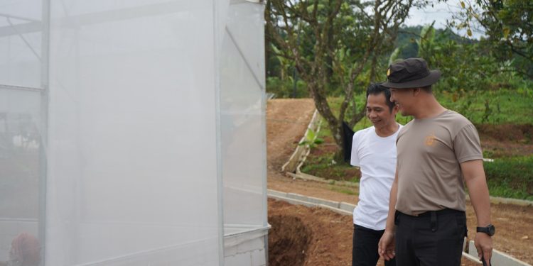 Kapolres dan Bupati Tinjau Pembangunan Green House, Perkuat Komitmen Ketahanan Pangan di Purwakarta