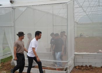 Kapolres Purwakarta Tinjau Kebun Ketahanan Pangan, Wujud Nyata Dukung Program Nasional