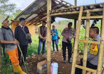 Kapolsek Darangdan Bersama Tim Polres Purwakarta Monitoring Tanaman Jagung Dukung Ketahanan Pangan Nasional