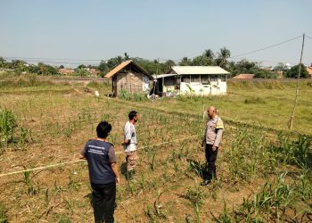 Dengar Suara Petani, Bhabinkamtibmas Polsek Plered Dampingi Program Ketahanan Pangan Jagung Hibrida
