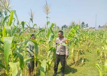 Polsek Cibatu Dukung Program Jaga Rawat Jawa Barat dengan Memperkuat Sinergi Bersama Petani