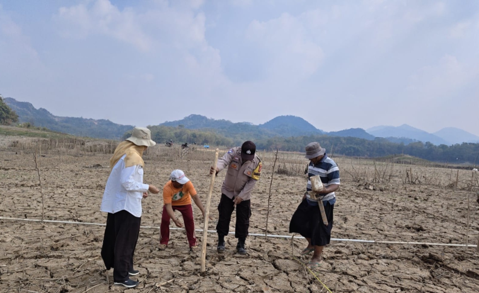 Manfaatkan Lahan Surut, Polsek Jatiluhur Bersama Petani Tanam Jagung Dukung Ketahanan Pangan