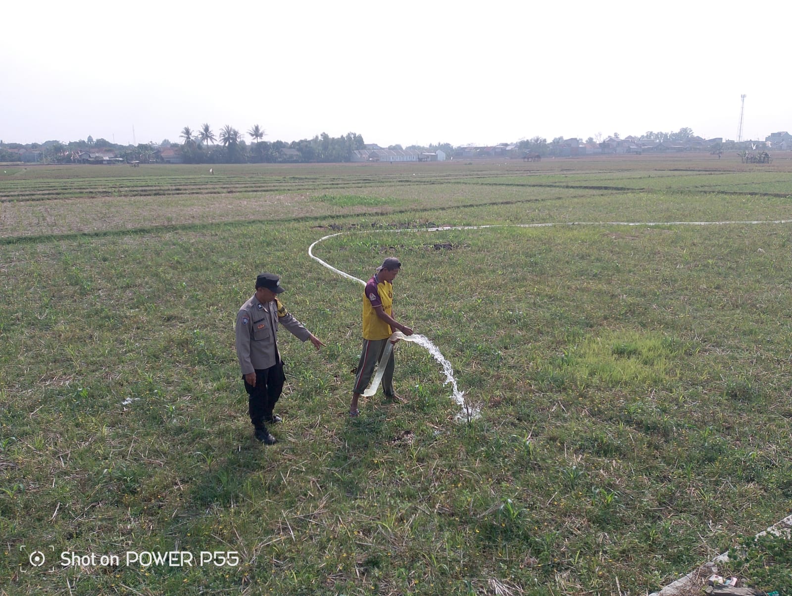 Lahan Produktif Mulai Dioptimalkan, Bhabinkamtibmas Campakasari Dukung Perluasan Areal Tanam Jagung