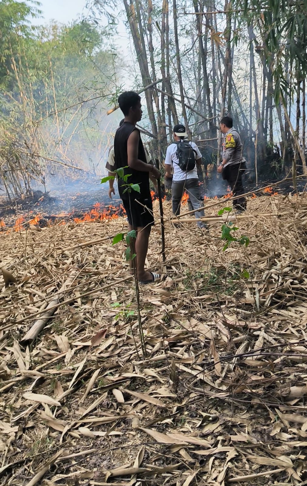 Cegah Api Meluas, Bhabinkamtibmas Plered Bersama Warga Padamkan Kebakaran Kebun Bambu di Linggarsari