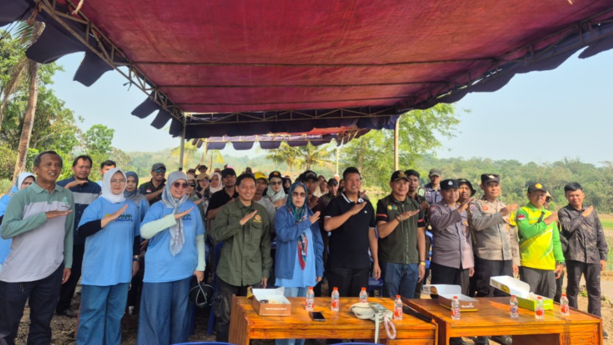 Perkuat Sinergitas dan Ketahanan Pangan, Polsek Cibatu Hadiri Penanaman Padi Modern