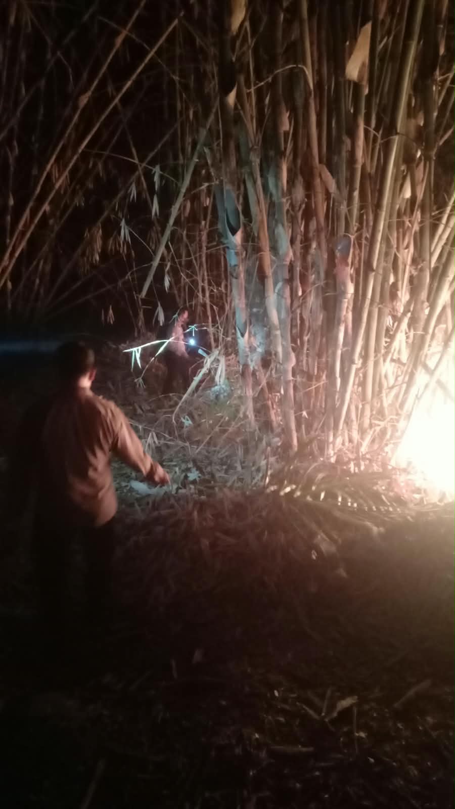 Tunggu Damkar Datang, Personel Polsek Plered Amankan TKP Kebakaran Kebun Bambu, Bersama Warga Padamkan Api Gunakan Alat Seadanya