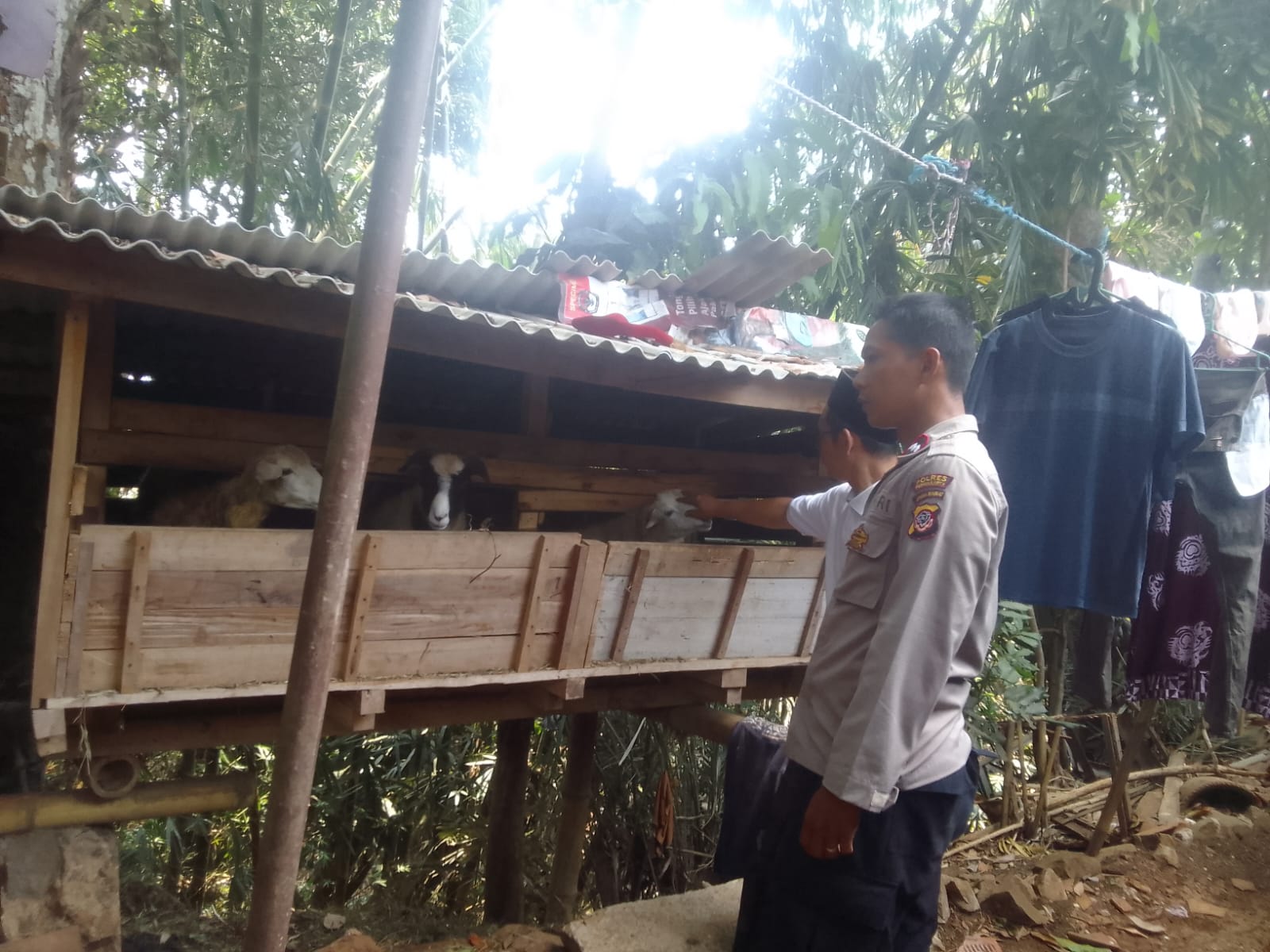 Cek Kandang Kambing Warga, Polsek Pasawahan Dorong Ketahanan Pangan dari Desa