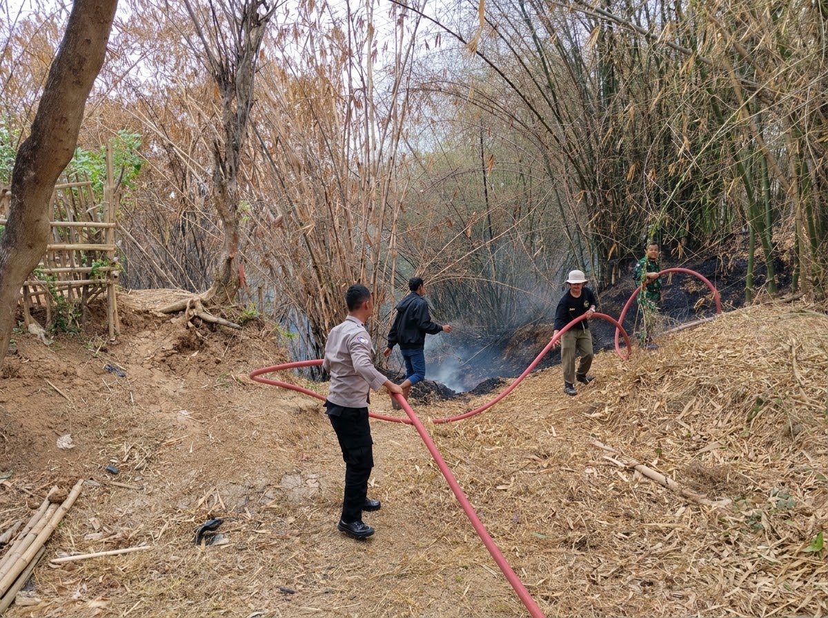 Sinergi Bhabinkamtibmas dan Tim Gabungan Padamkan Kebakaran 2 Hektar Kebun Bambu di Cilangkap