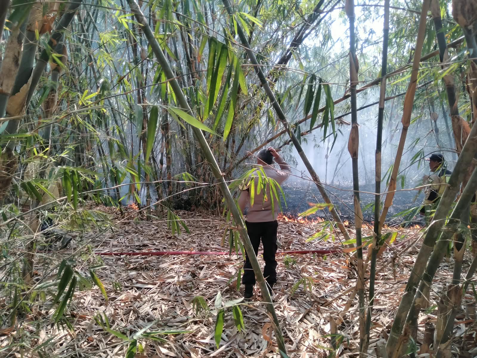 Polisi, Damkar, dan warga bersama padamkan kebakaran kebun bambu di Rawasari