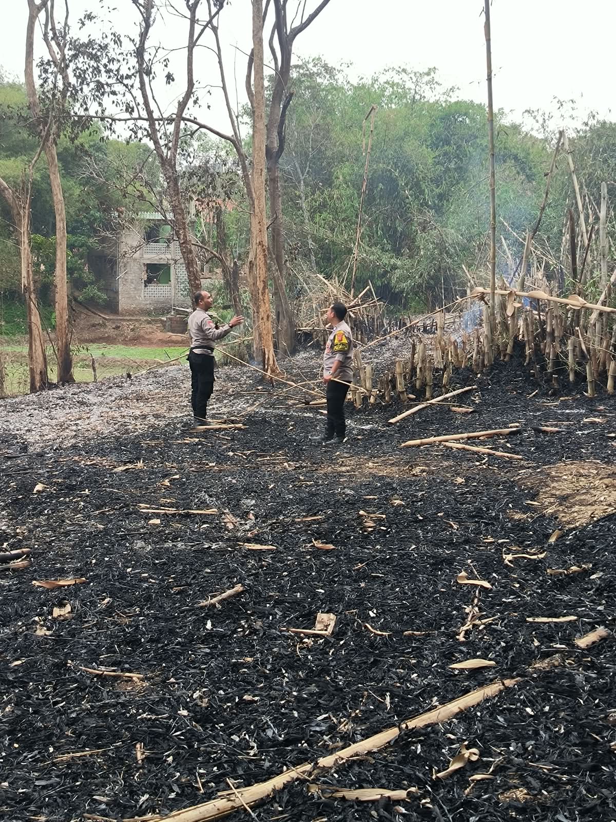 Pasca Kebakaran Lahan Bambu di Citekokaler, Polsek Plered Cek TKP dan Antisipasi Api Kembali Menyala